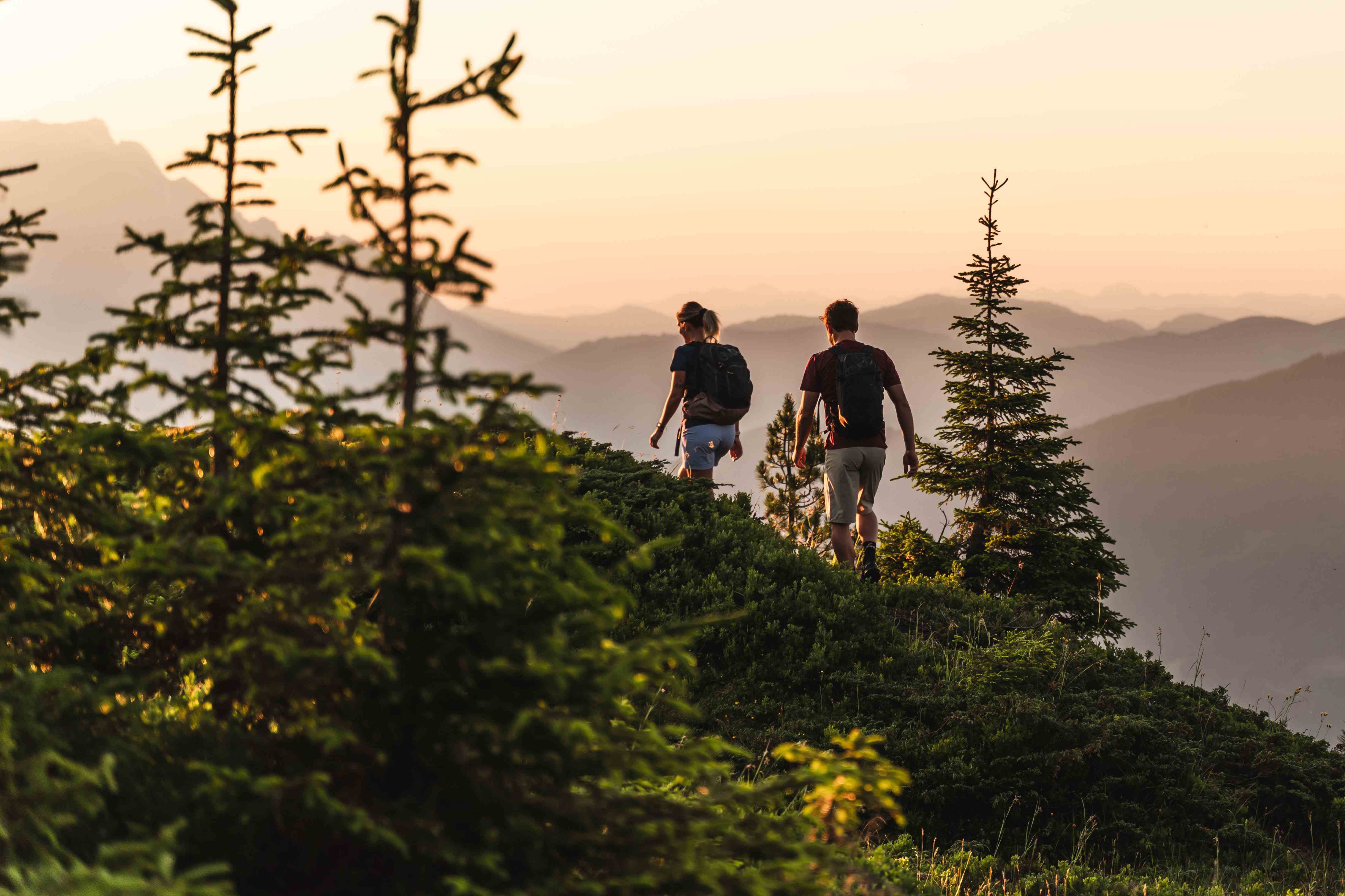 Wandern im Abendlicht über den Bergen von Saalfelden Leogang